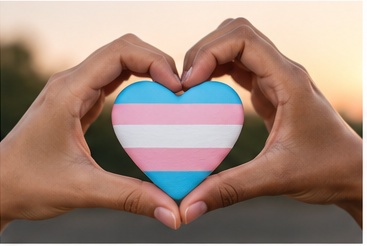 Hands forming a heart around trans pride colors